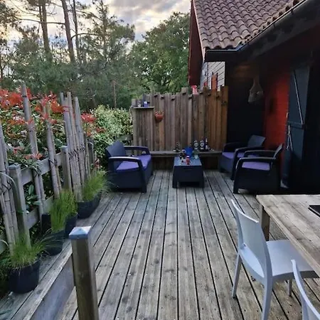 Proche Du * סנגווינה