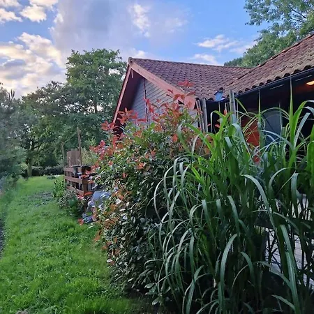 Proche Du בית נופש *