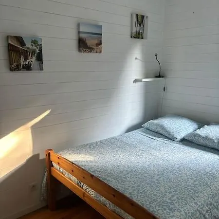 Proche Du * סנגווינה